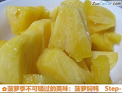 菠萝季不可错过的美味：菠萝焖鸭做法第三步骤