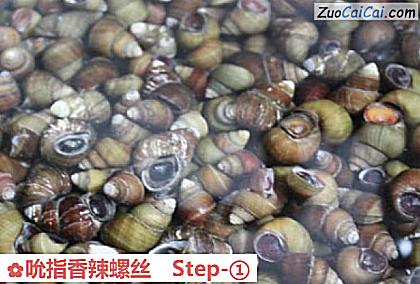 吮指香辣螺丝做法第一步骤