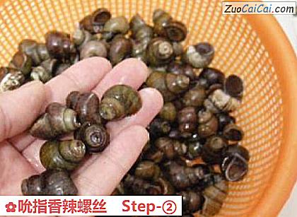 吮指香辣螺丝做法第二步骤