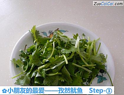 孜然鱿鱼做法第三步骤