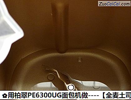 用柏翠PE6300UG面包机做做法第二步骤