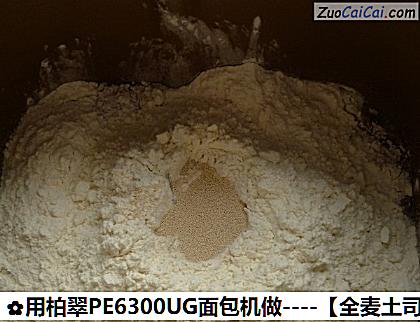 用柏翠PE6300UG面包机做做法第八步骤