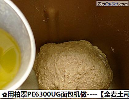 用柏翠PE6300UG面包机做做法第九步骤