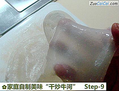 家庭自制美味“干炒牛河”做法第九步骤