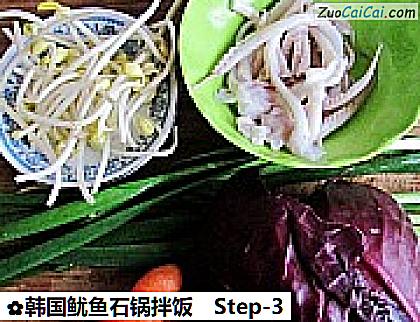 韩国鱿鱼石锅拌饭做法第三步骤