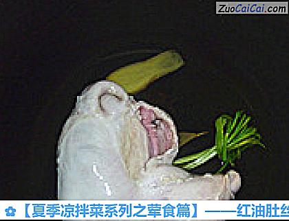 红油肚丝做法第四步骤