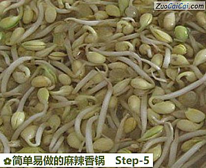 简单易做的麻辣香锅做法第五步骤