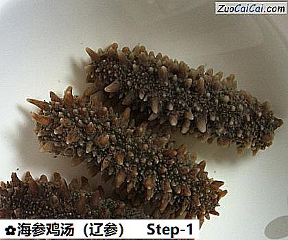 海参鸡汤做法第一步骤