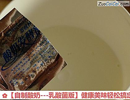 自制酸奶做法第三步骤