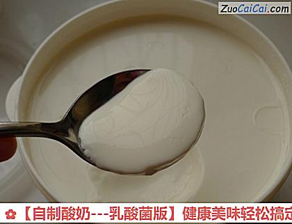 自制酸奶做法第七步骤
