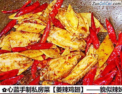 姜辣鸡翅做法第六步骤