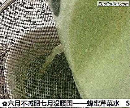 蜂蜜芹菜水做法第三步骤