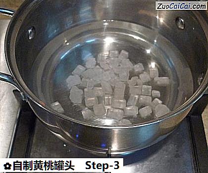 自制黄桃罐头做法第三步骤