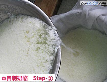 自制奶酪做法第三步骤