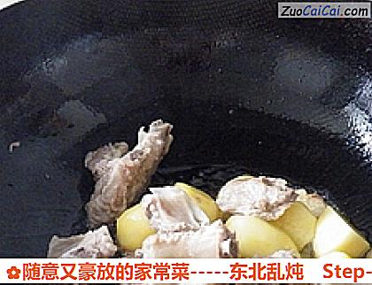 随意又豪放的家常菜-东北乱炖做法第十步骤