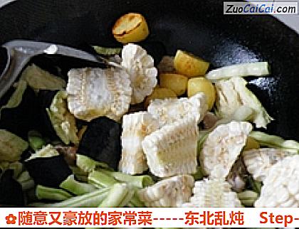 随意又豪放的家常菜-东北乱炖做法第十二步骤