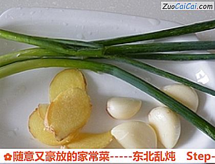 随意又豪放的家常菜-东北乱炖做法第四步骤