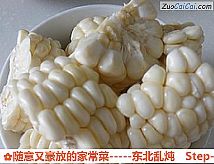 随意又豪放的家常菜-东北乱炖做法第六步骤