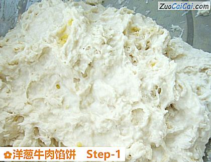 洋葱牛肉馅饼做法第一步骤