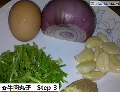 牛肉丸子做法第三步骤