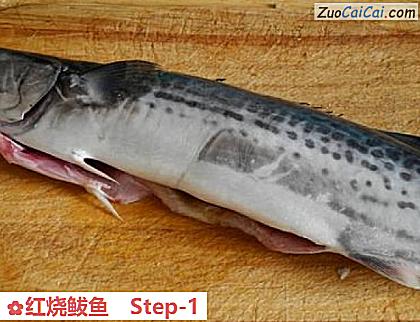红烧鲅鱼做法第一步骤