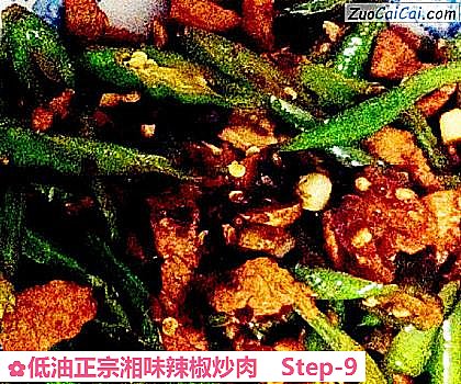 低油正宗湘味辣椒炒肉做法第九步骤