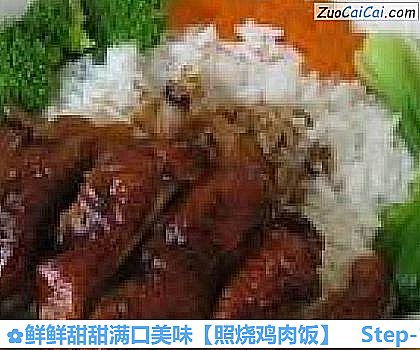 照烧鸡肉饭做法第十一步骤