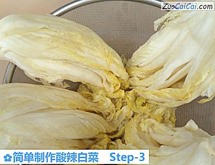 简单制作酸辣白菜做法第三步骤