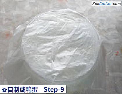 自制咸鸭蛋做法第九步骤