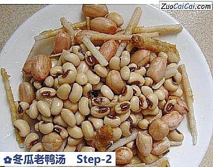 冬瓜老鸭汤做法第二步骤