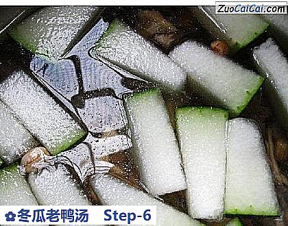 冬瓜老鸭汤做法第六步骤