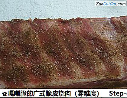嘎嘣脆的广式脆皮烧肉做法第二步骤