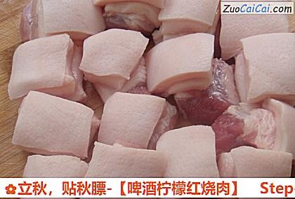 啤酒柠檬红烧肉做法第一步骤