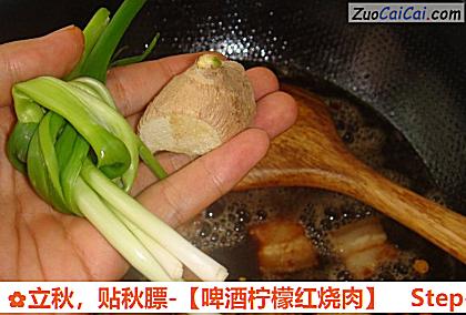 啤酒柠檬红烧肉做法第九步骤