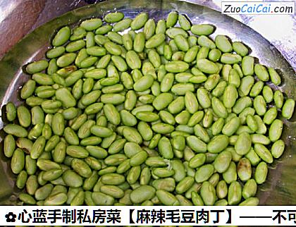 麻辣毛豆肉丁做法第三步骤