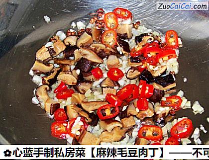 麻辣毛豆肉丁做法第四步骤