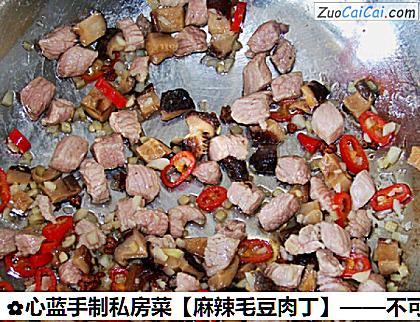 麻辣毛豆肉丁做法第五步骤