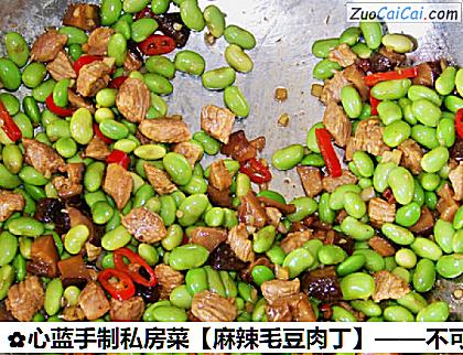 麻辣毛豆肉丁做法第六步骤