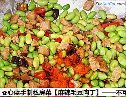 麻辣毛豆肉丁做法第七步骤