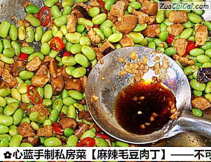 麻辣毛豆肉丁做法第八步骤