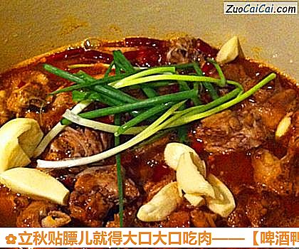 啤酒鸭做法第十一步骤