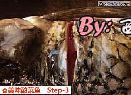 美味酸菜鱼做法第三步骤