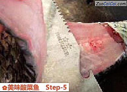 美味酸菜鱼做法第五步骤