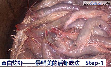 白灼虾做法第一步骤