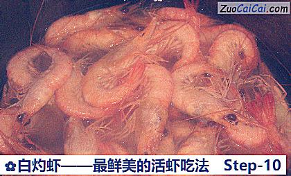 白灼虾做法第十步骤