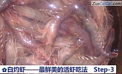 白灼虾做法第三步骤