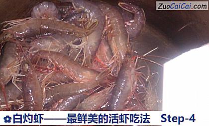 白灼虾做法第四步骤