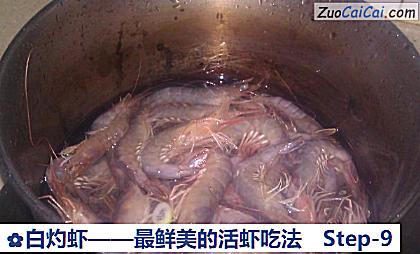 白灼虾做法第九步骤