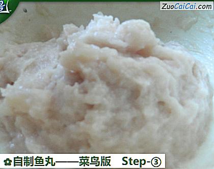 自制鱼丸做法第三步骤