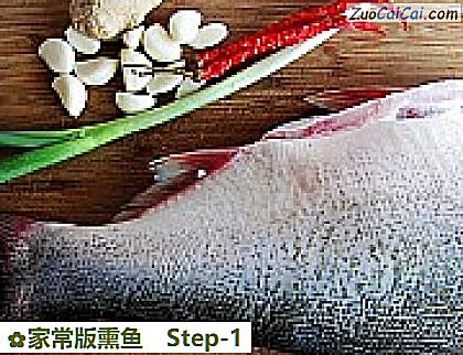 家常版熏鱼做法第一步骤